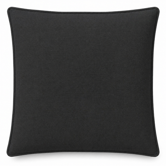 Sunbrella 17x17 Throw Pillow – Canvas Black (5408)